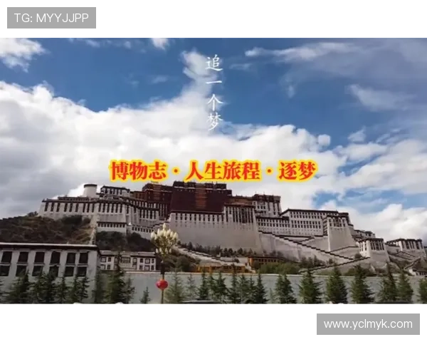 乒乓球场上的追梦旅程：李敏的奋斗与荣耀人生分享
