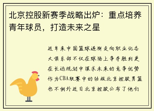 北京控股新赛季战略出炉：重点培养青年球员，打造未来之星